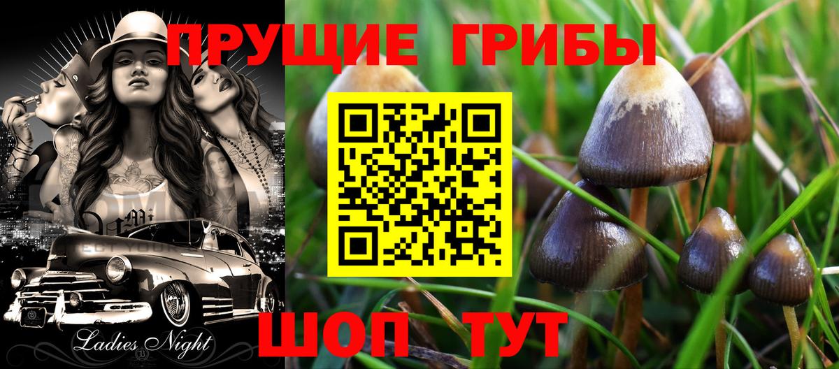Галлюциногенные грибы мицелий Череповец