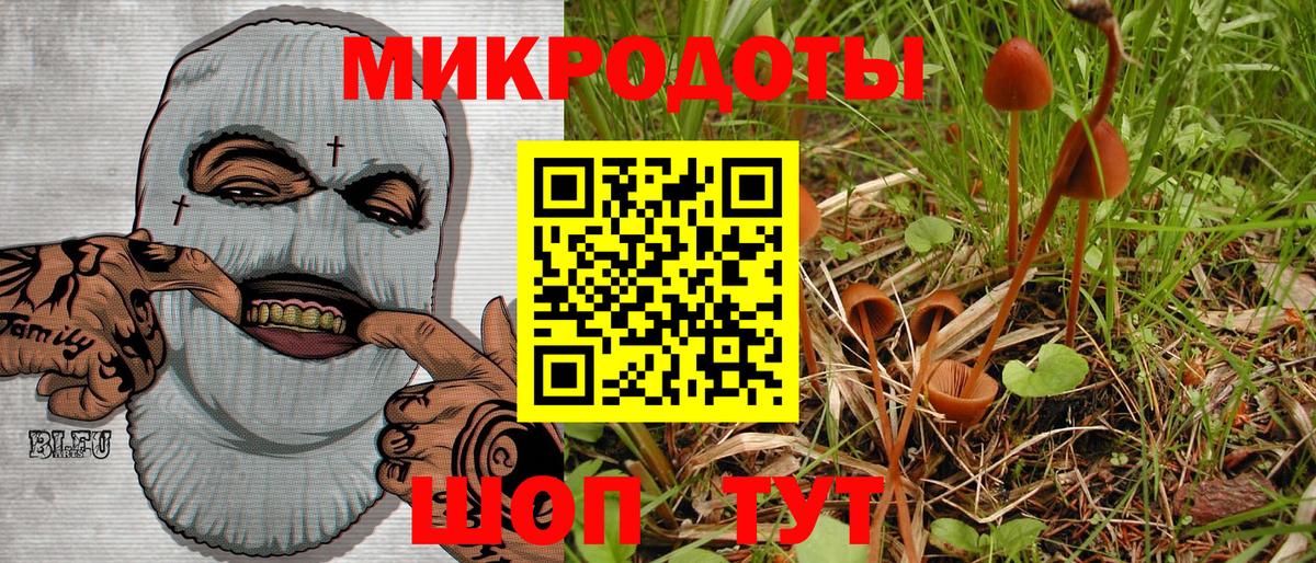хочу   Галлюциногенные грибы мухоморы  Вход с VPN  Череповец 